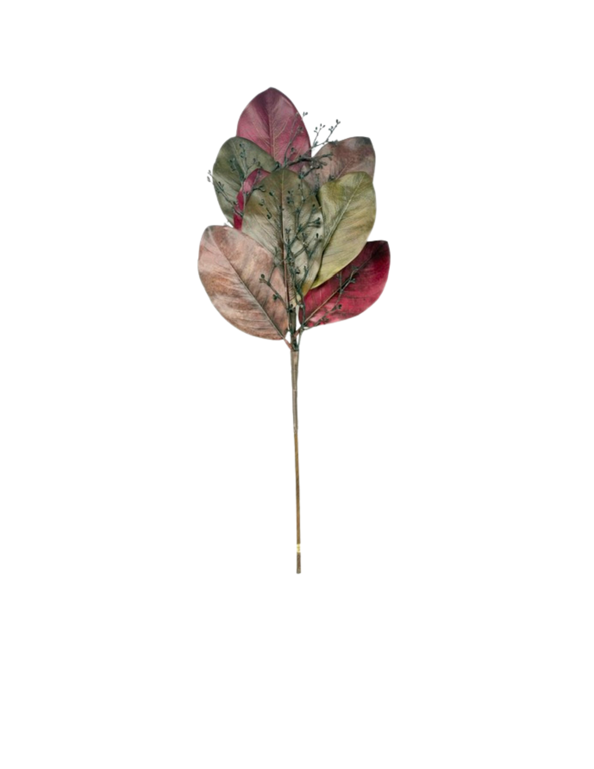 24.5-inch Magnolia Leaf Spray with realistic burgundy and green leaves on a single stem.