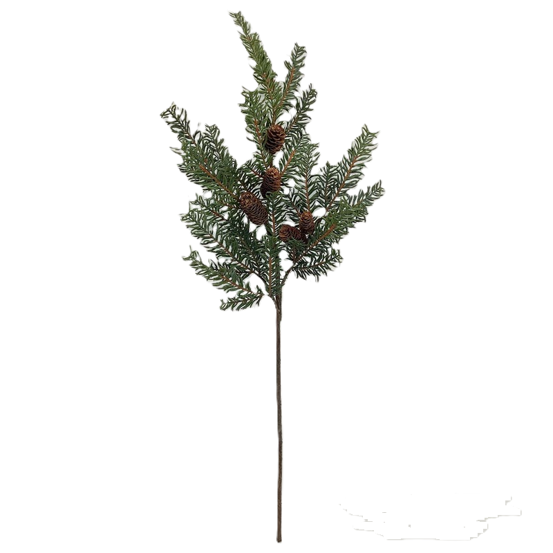 Gray green Douglas fir branch with natural wood texture