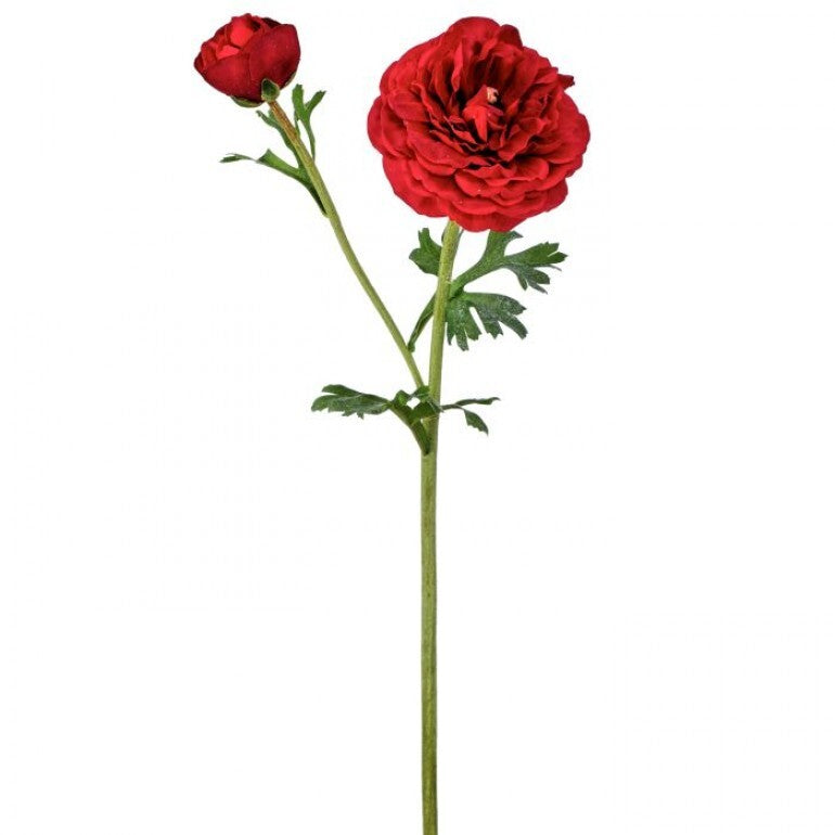 Red Ranunculus flower arrangement in a clear vase with green foliage.