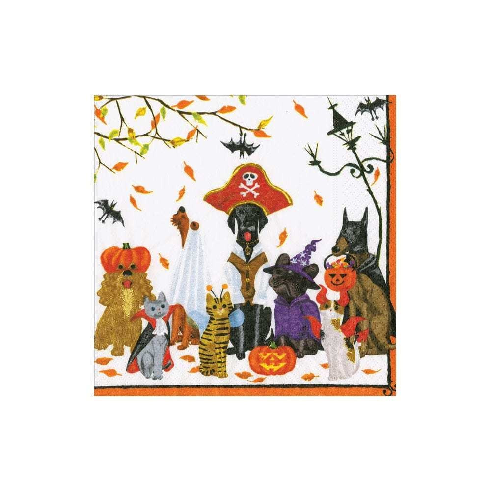 Recycled triple-ply Halloween pet cocktail napkins with black background and orange pumpkin designs.