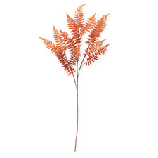 39 Inch Orange with Brown Speckles Lady Fern Spray featuring multiple feathery fronds on a long stem