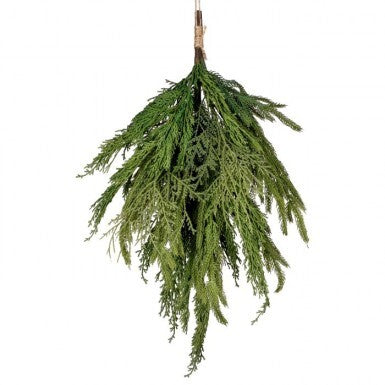 Bundle of Cyprus/Norfolk pine branches with natural green needles