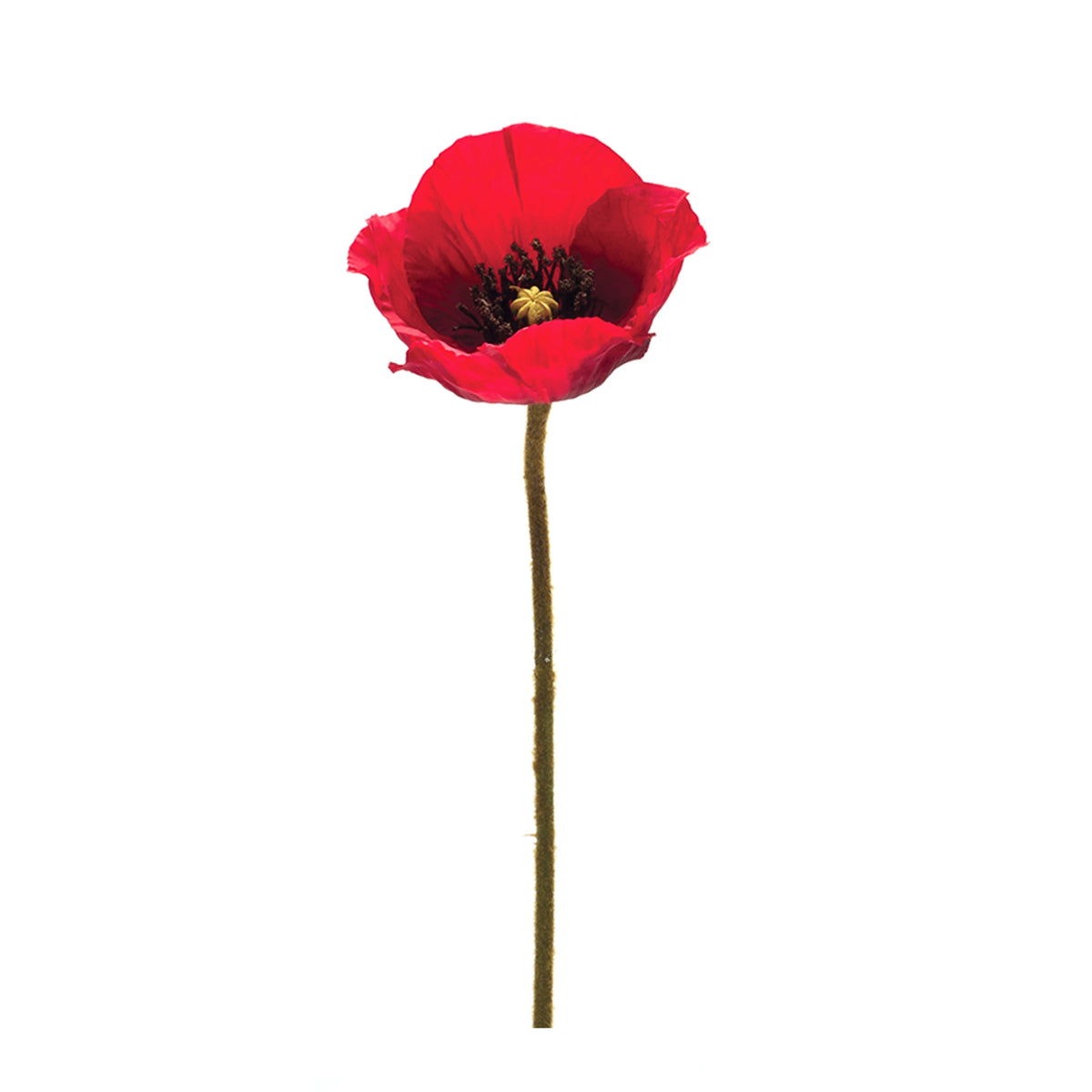 Single red 26.5-inch artificial poppy spray with a long green stem and fabric petals.