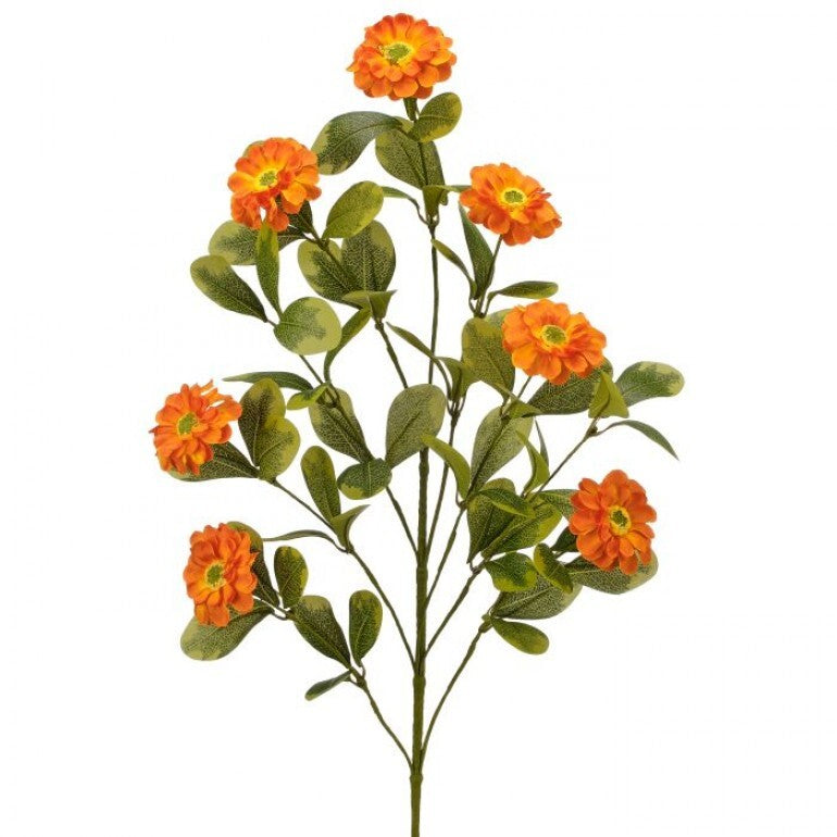34-inch spray of button zinnia flowers in vibrant pink with green foliage