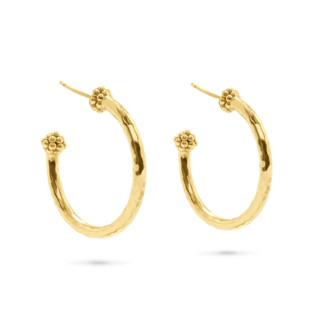 Gold-plated brass medium hoop earrings featuring a berry slice charm with natural artisan variations.
