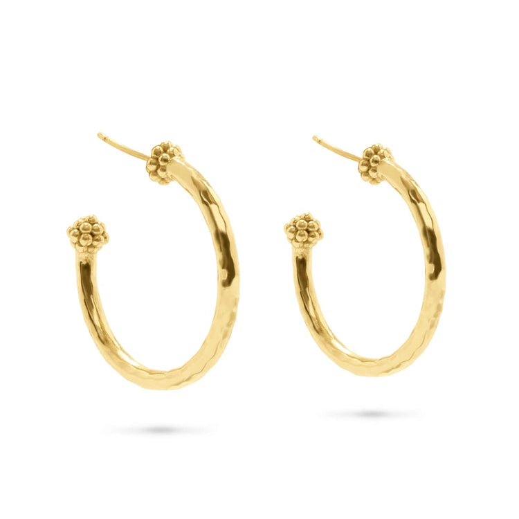 Gold-plated brass medium hoop earrings featuring a berry slice charm with natural artisan variations.