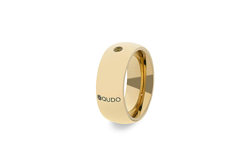 Interchangeable Basic Ring Big in silver with a wide band width.
