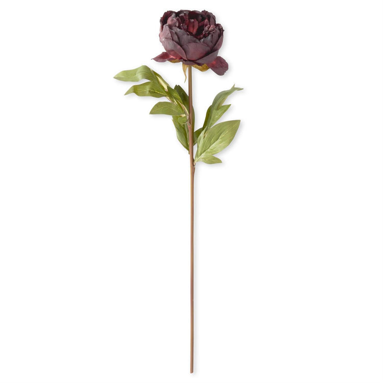 Faux dried peony stem with realistic muted petals in polyester fabric.