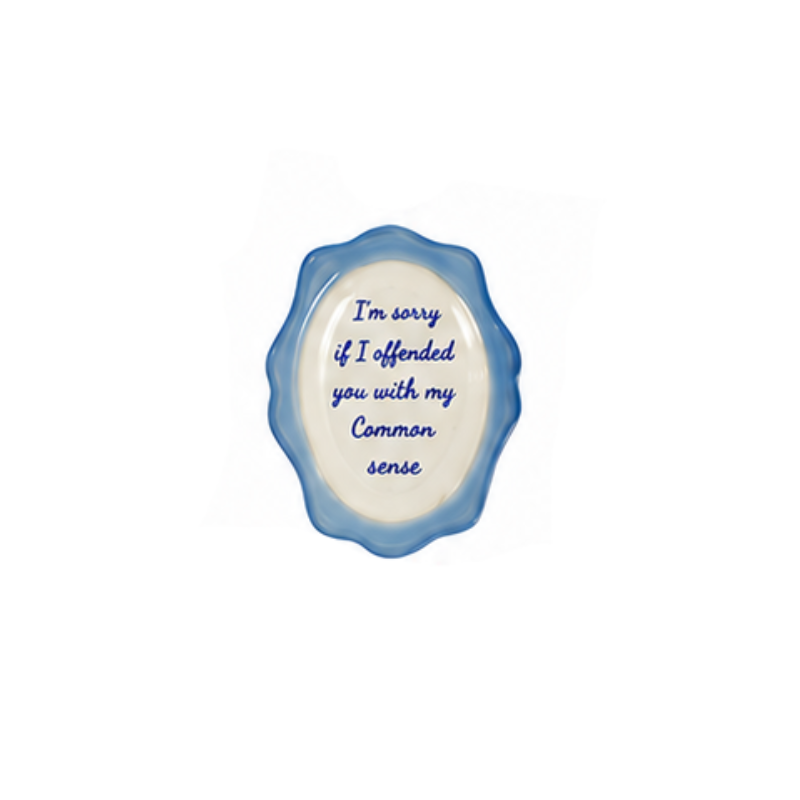 Hand-painted stoneware magnet with blue script saying: I'm sorry if I offended you with my common sense