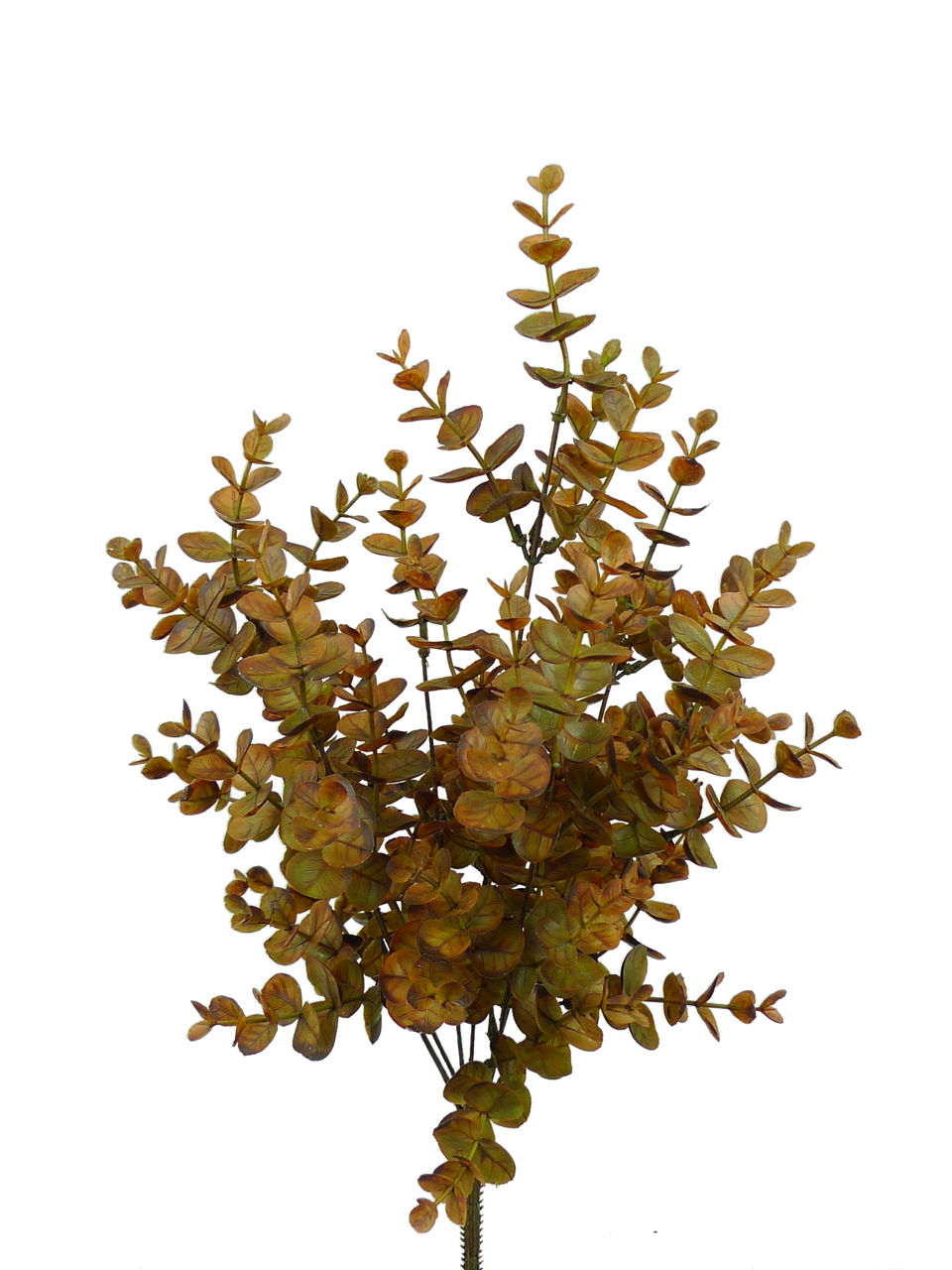 Plastic eucalyptus bush with green foliage in a natural branch silhouette.