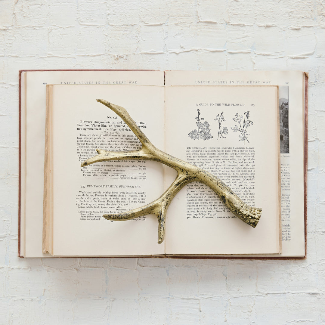 A cast iron antler with a distressed gold finish resting on an open vintage botanical book.