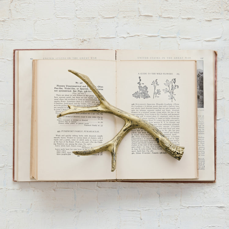 A cast iron antler with a distressed gold finish resting on an open vintage botanical book.