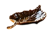 Autumn Allure Leaf Tray in dark brown enamel with gold metallic edges and textured leaf veins.