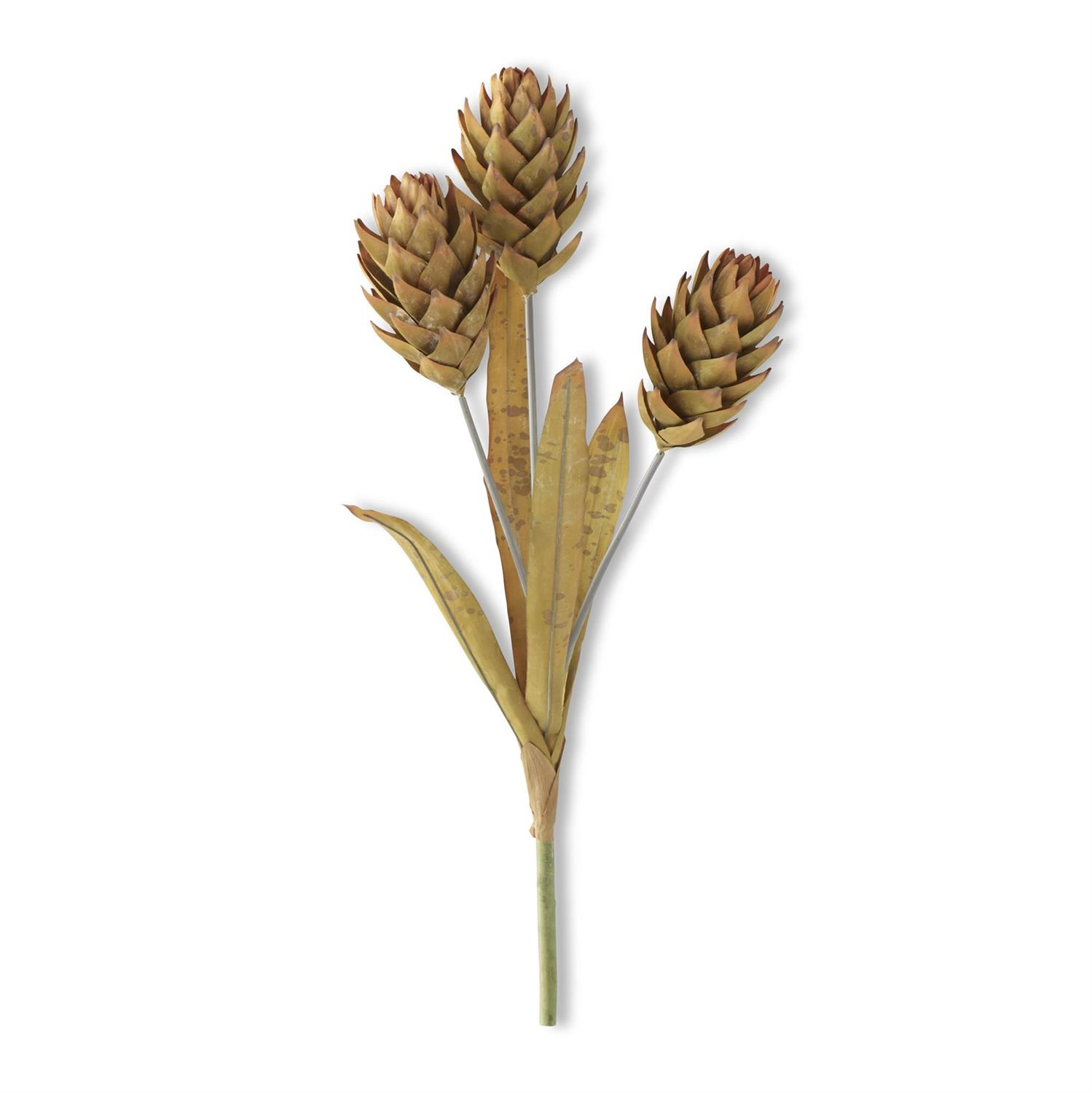 28-inch light yellow ginger triple flower stem with three textured cone-shaped blooms and leaves.