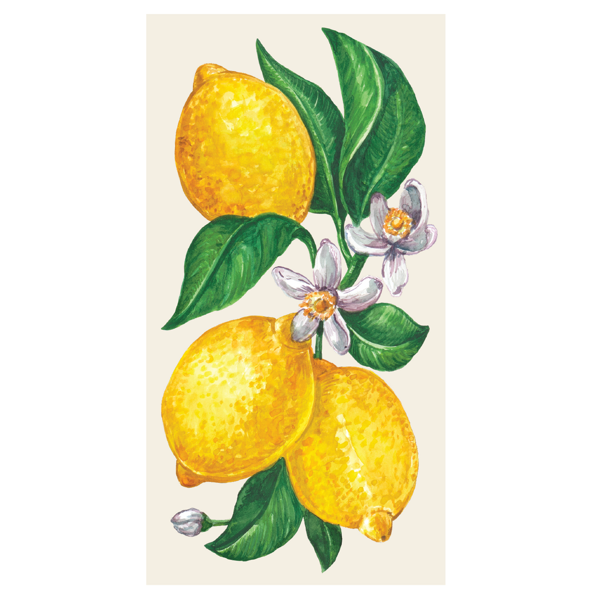 Guest napkin featuring a watercolor illustration of yellow lemons, green leaves, and white flowers.