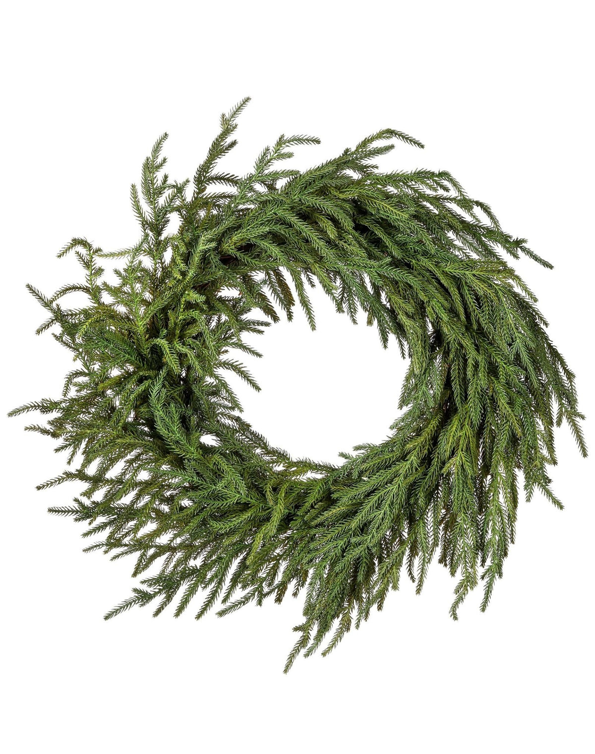 A round Norfolk pine wreath with bold green foliage displayed on a white background.