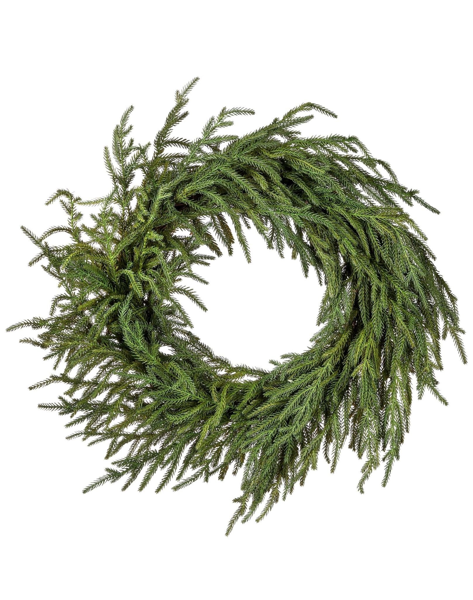 A round Norfolk pine wreath with bold green foliage displayed on a white background.