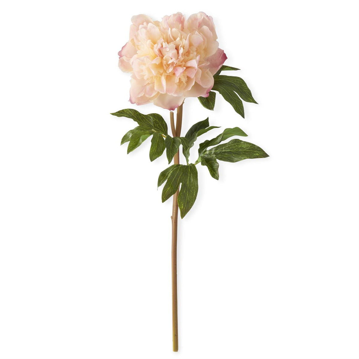 Tall coral peony stem with real-touch texture on polyester and PVC material.
