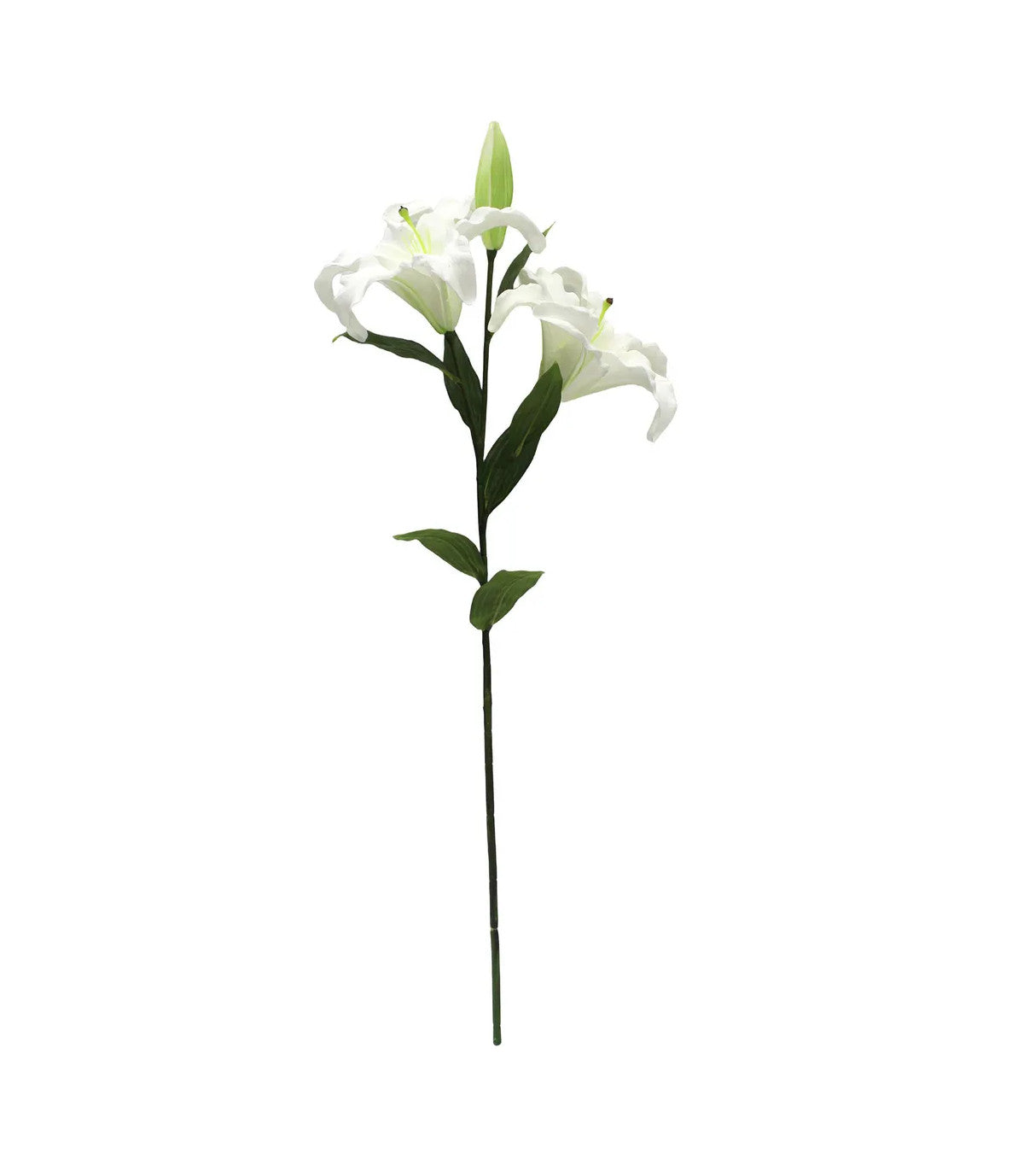 White Asiatic Lily flower in a clear glass vase with dimensions approximately nine by nine inches.