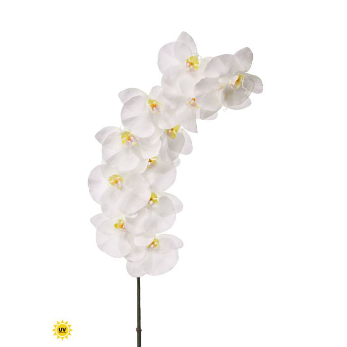 National Touch Phaleanopsis spray wall clock with a 43-inch diameter featuring a natural leaf pattern and neutral tones.