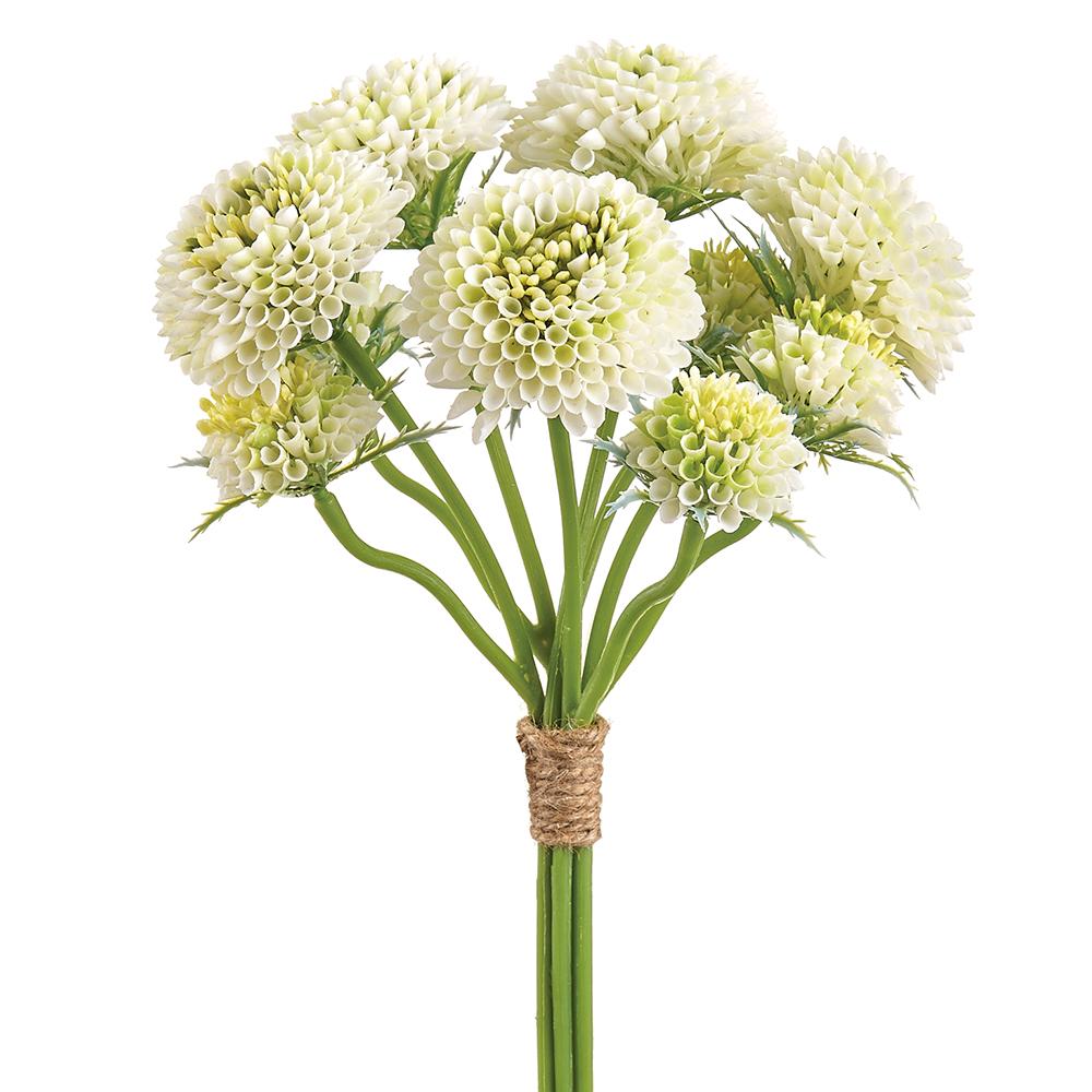 14 Inch Pompon Dahlia Bundle