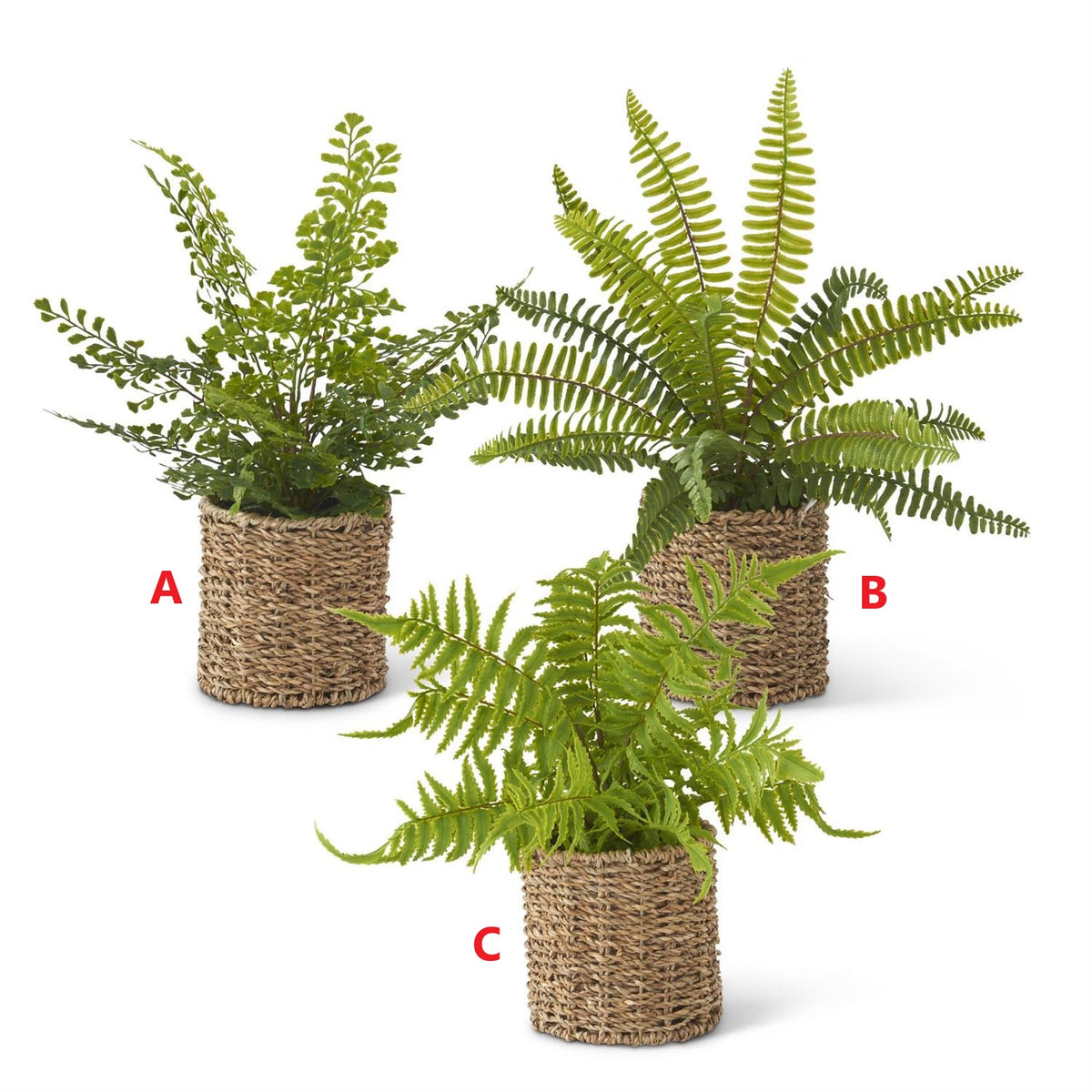 Round woven basket with ferns in natural tones