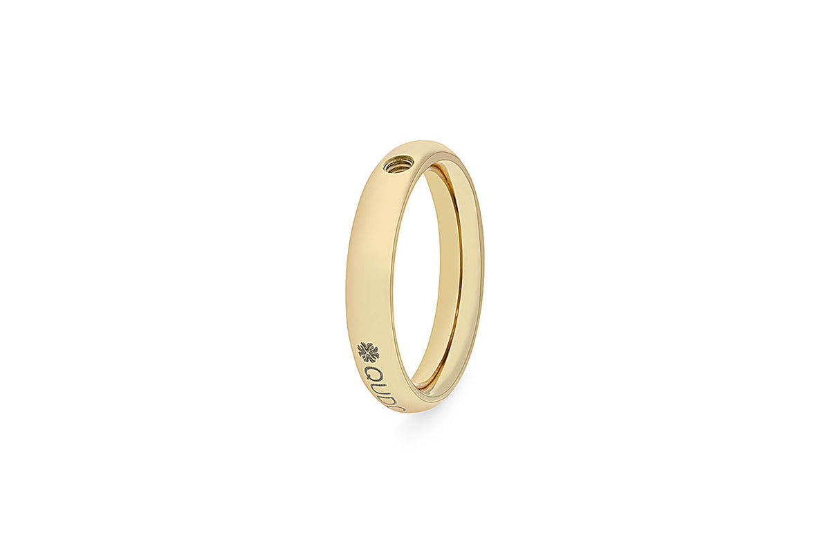 Small silver ring with interchangeable basic band detail