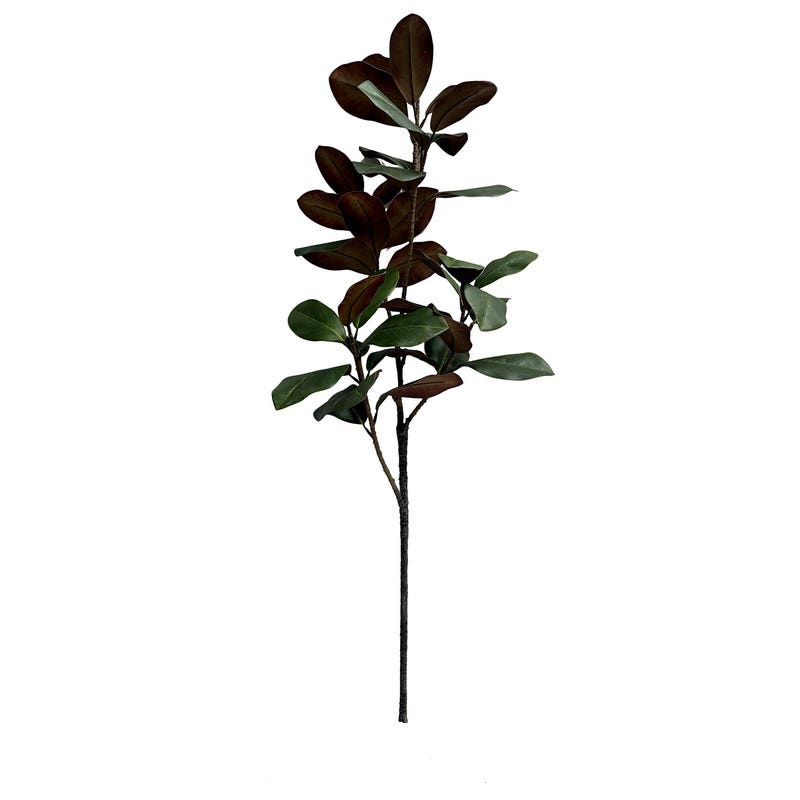Old Southern Magnolia Stem with realistic glossy green and brown leaves on a tall dark branch.