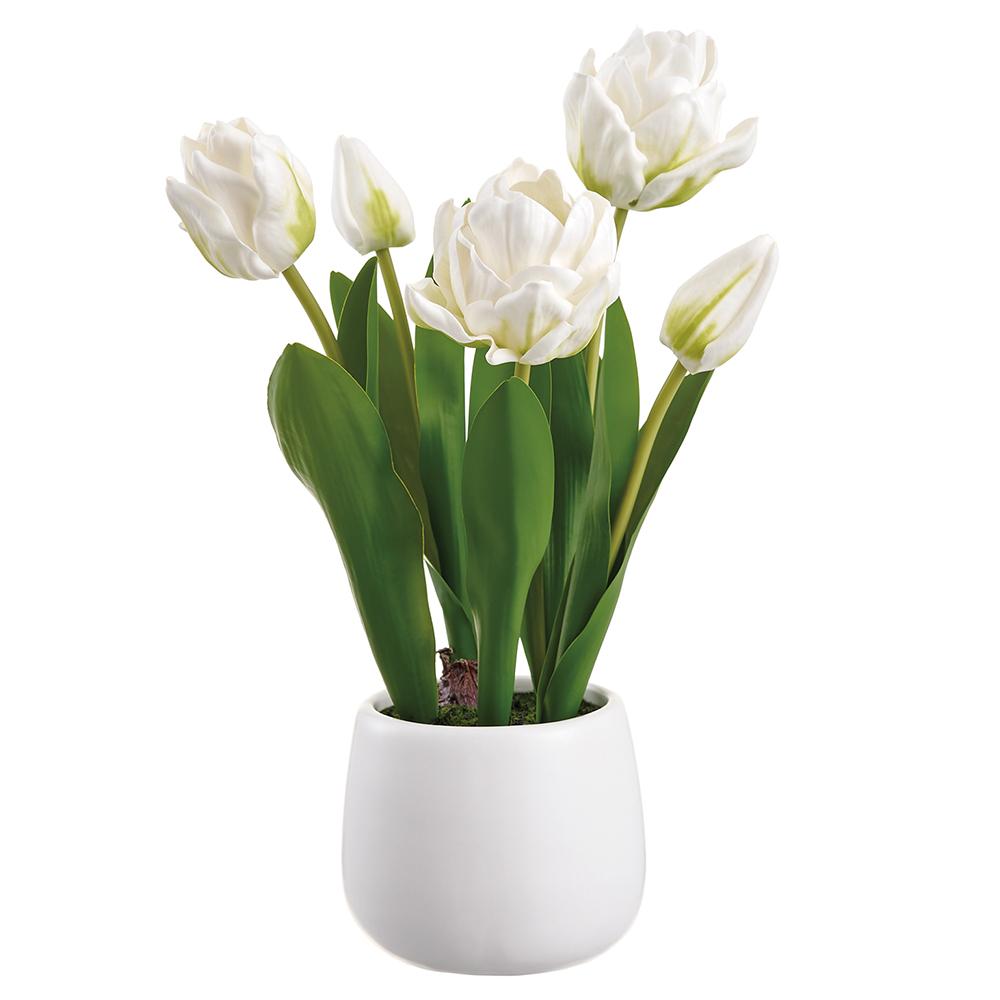 White ceramic tulip vase with a smooth curved silhouette.
