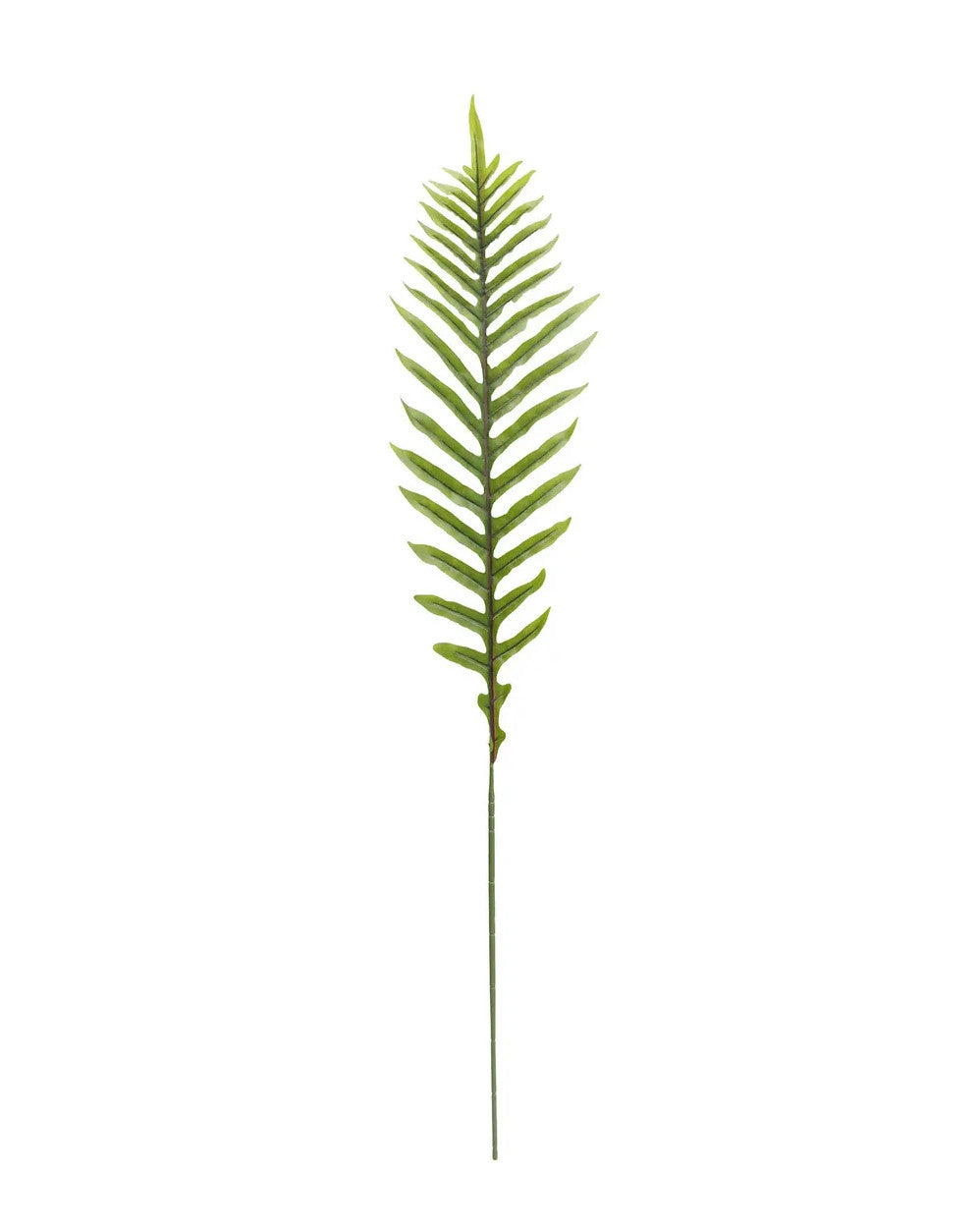 Ostrich Fern artificial plant in light green with a natural fern leaf pattern.