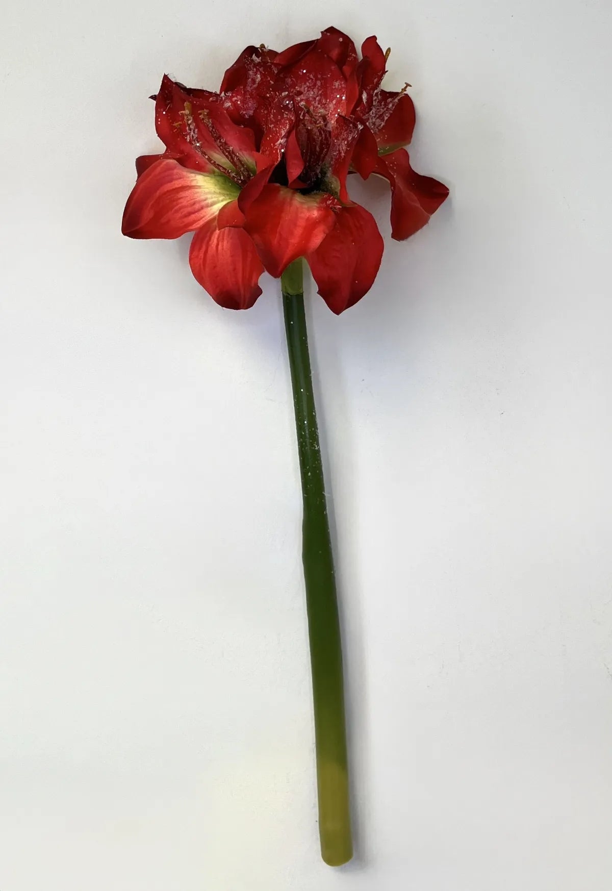 Sixteen-inch spray arrangement featuring multiple red amaryllis blooms with green foliage stems.