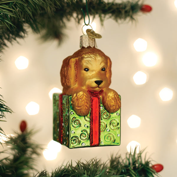 Glass Doodle Puppy Surprise Ornament featuring a golden dog in a green gift box with red ribbon.