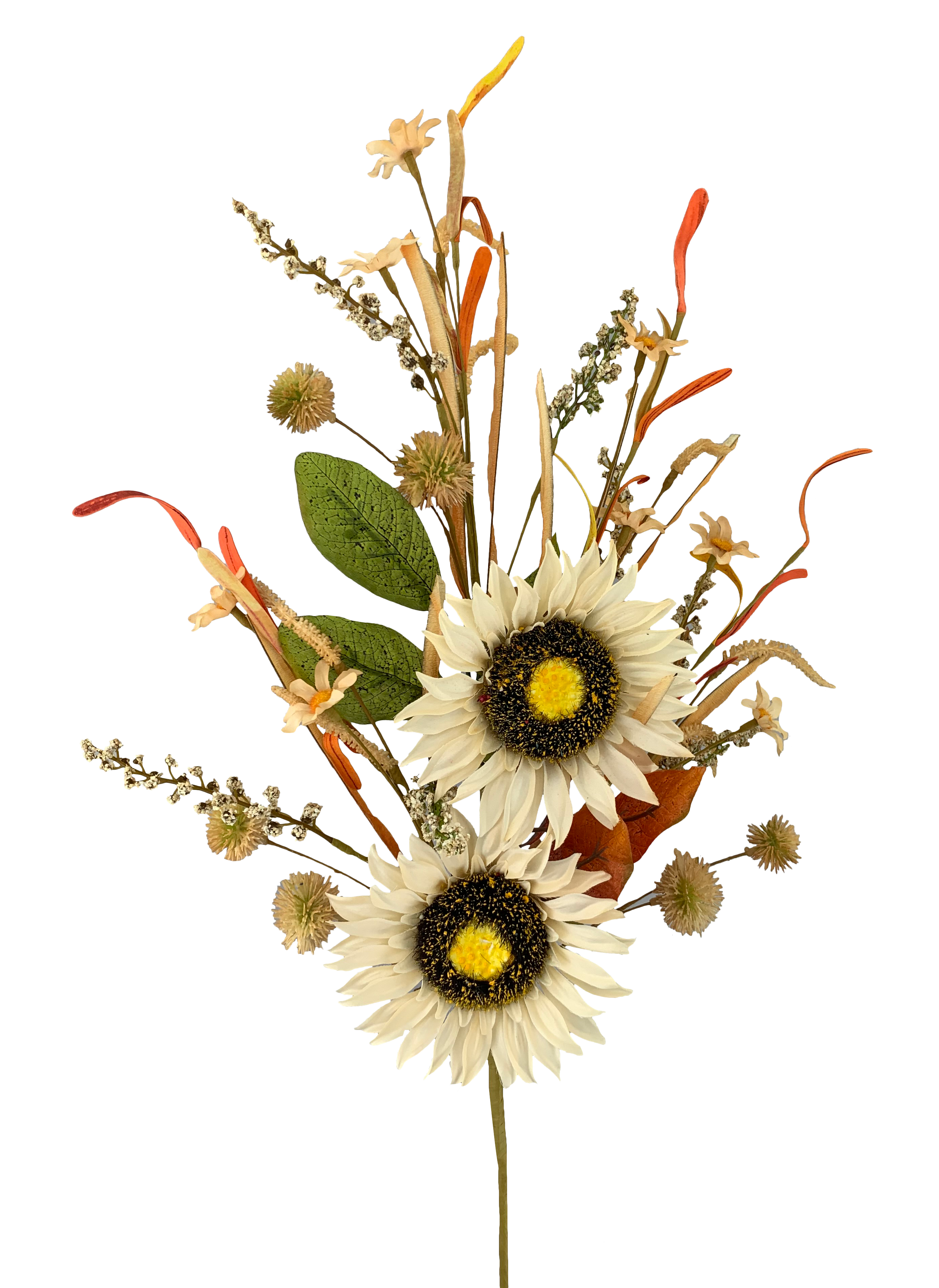 Sunflower Pom Pom Spray measuring 28 inches high with a natural dried floral arrangement.