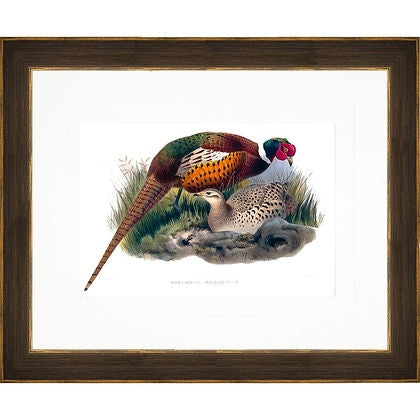 Antique Gould Gamebirds print featuring two pheasants in a dark wood frame with white matting.