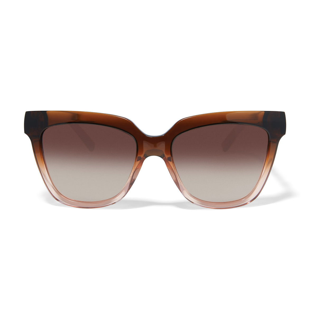 Square tortoise sunglasses with silver plated accents featuring an infinity link bridge pattern.