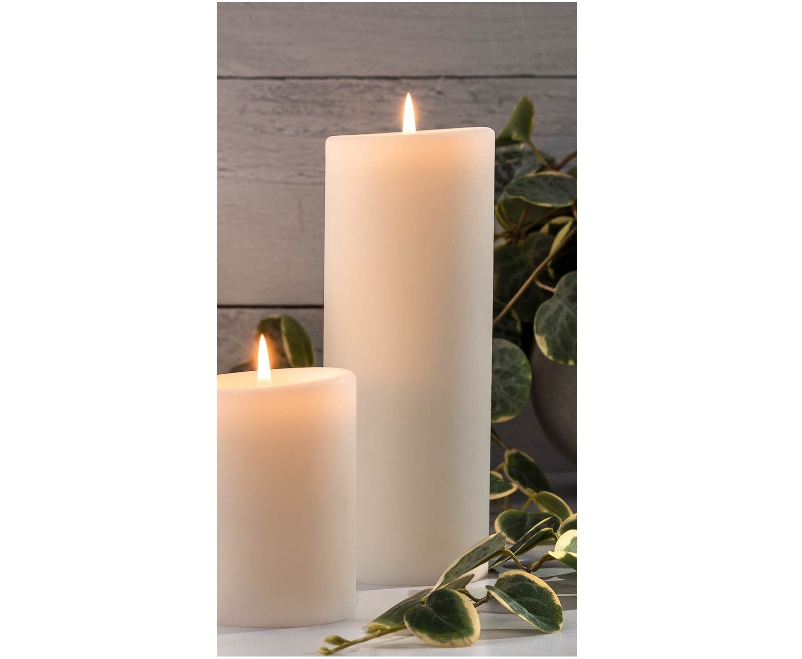 Two lit white 3x8 pillar candles of different heights next to green leaves.