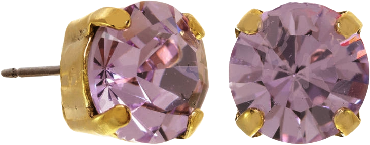 Oakland stud earrings in violet with a polished metal finish.