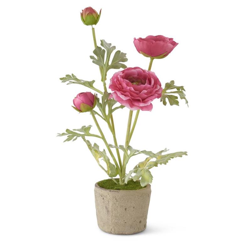 Pink ranunculus floral arrangement in a small clay pot with green foliage.
