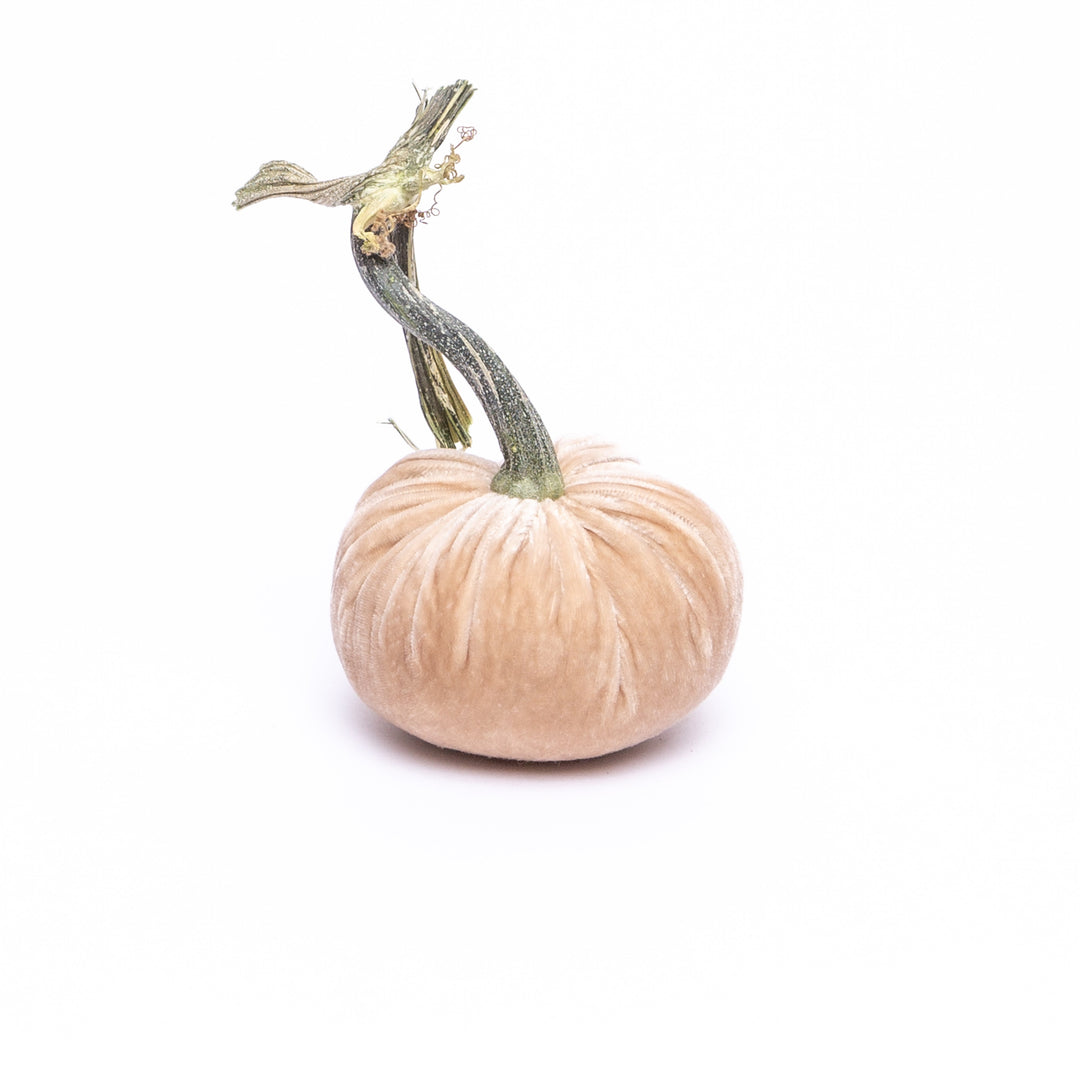 Handmade orange velvet pumpkin with a natural stem.