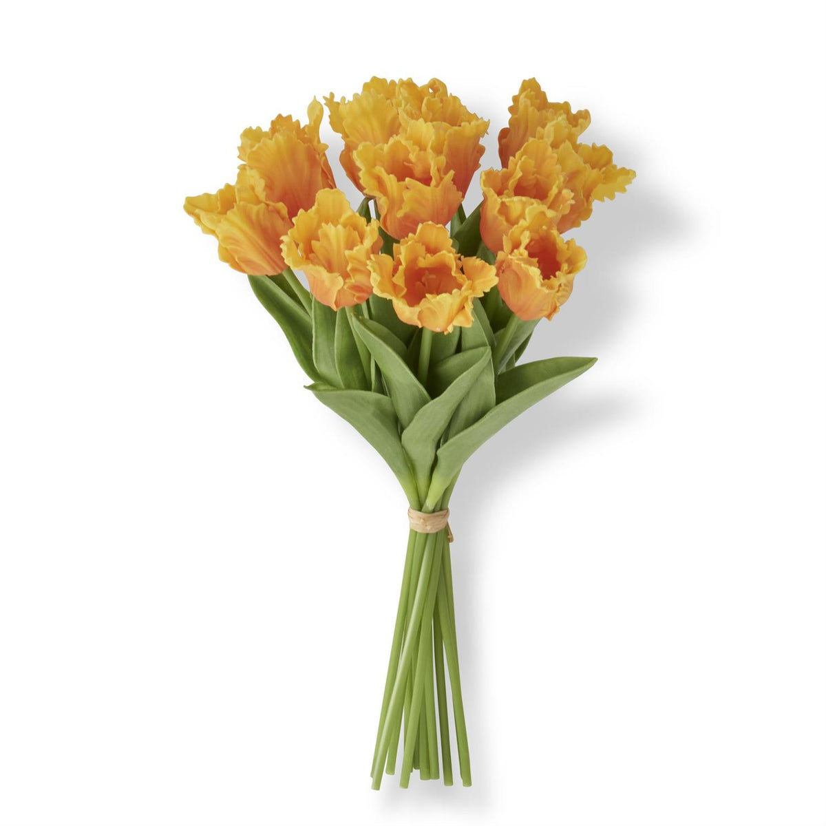 Real touch parrot tulip bundle featuring plastic and PU materials in a natural green silhouette with wire stems.