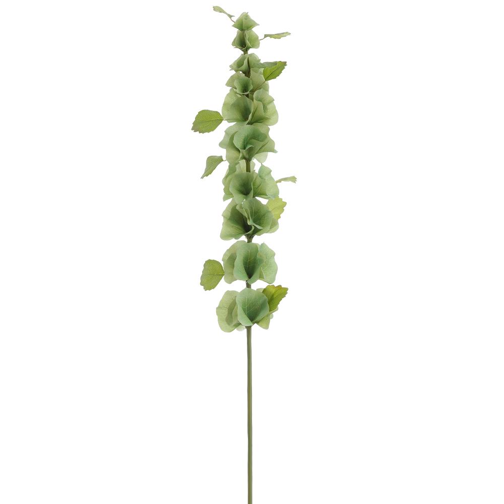 37-inch Bells of Ireland spray with green foliage on a wire stem structure