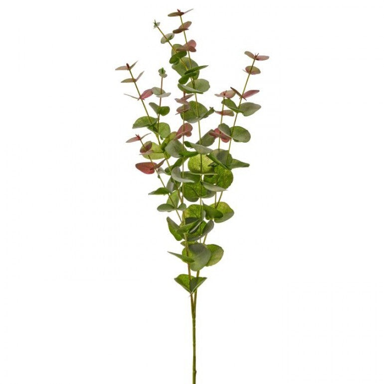 39-inch California Eucalyptus branch with green foliage on a natural stem.
