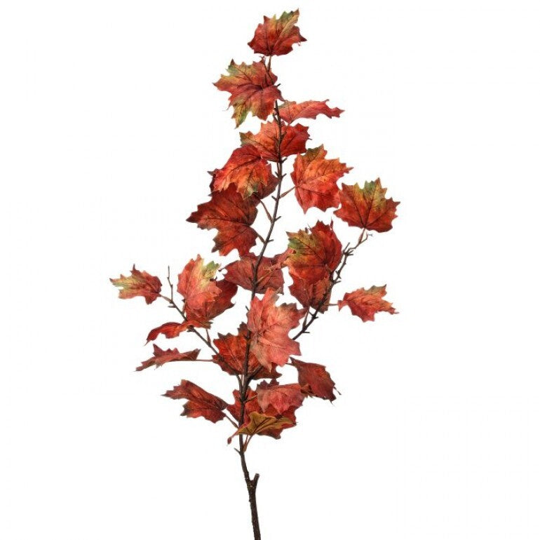 47" Northern Vermont Maple Spray