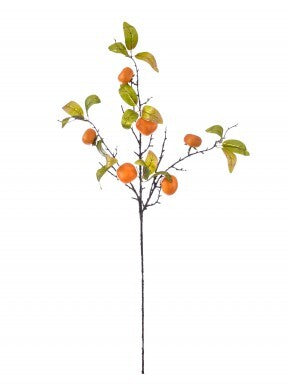 36-inch Southern Gilded Persimmon Spray with orange fruit and green leaves on a brown branch.