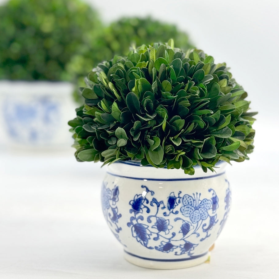 Round blue ceramic pot with white floral patterns holding a preserved boxwood ball topiary.
