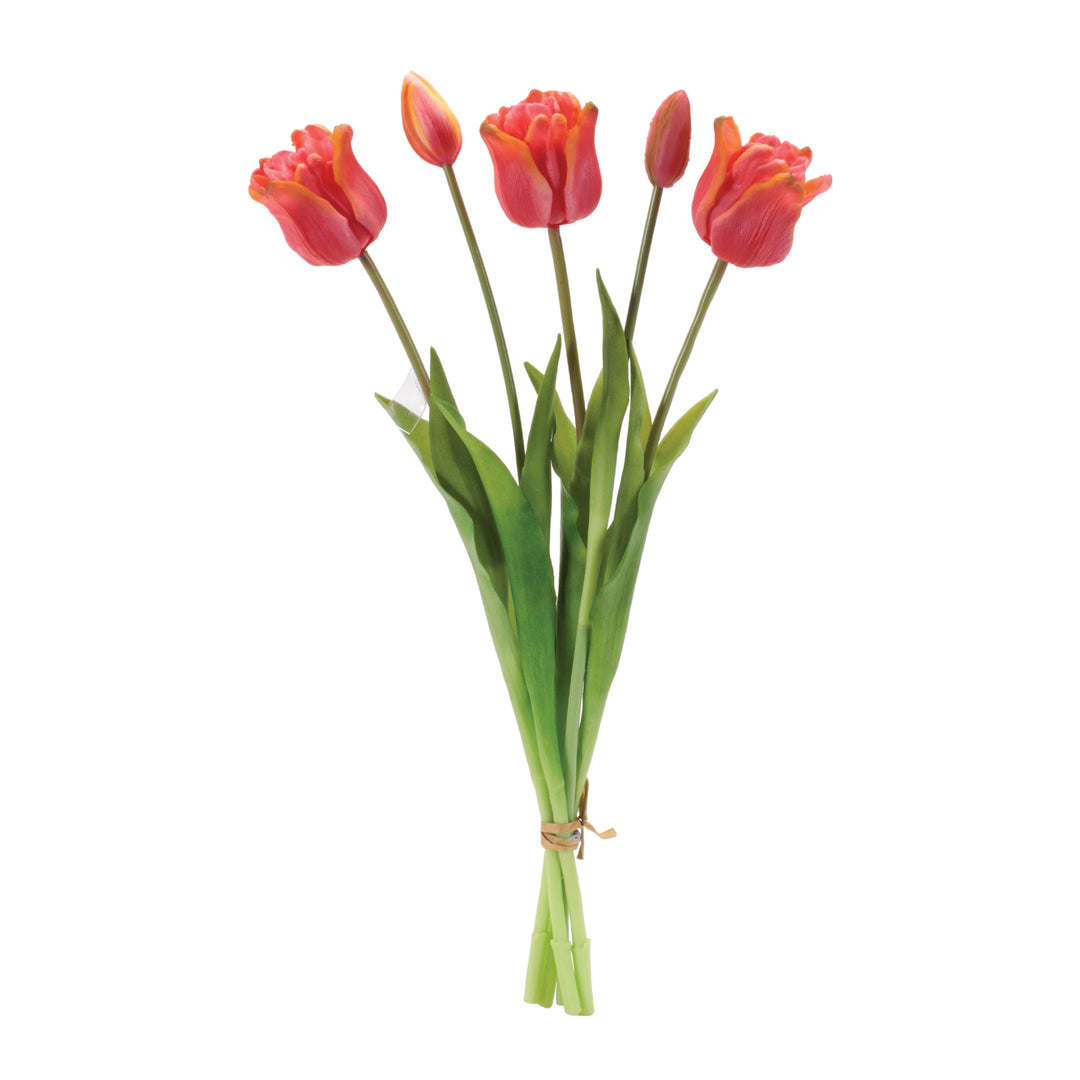 18.5"H Tulip Bundle