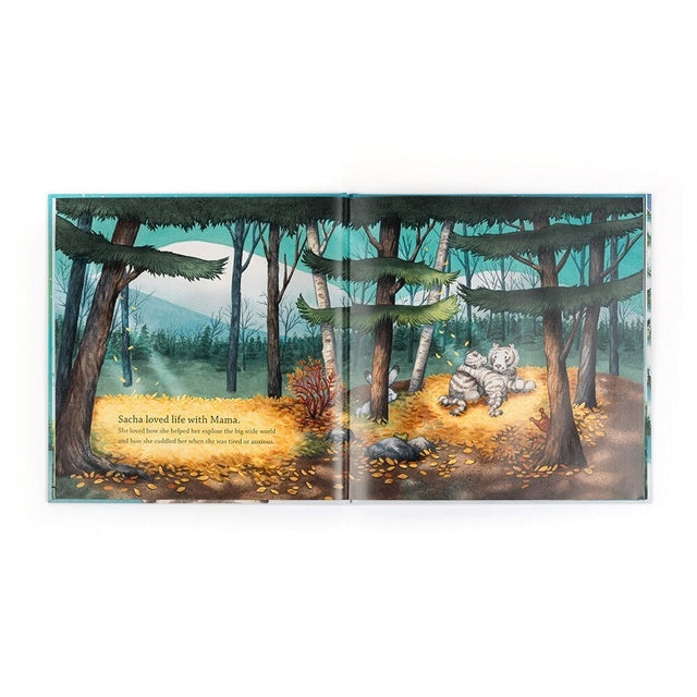 Hardcover children's book titled Sacha and the Most Wonderful Thing with colorful cover art.