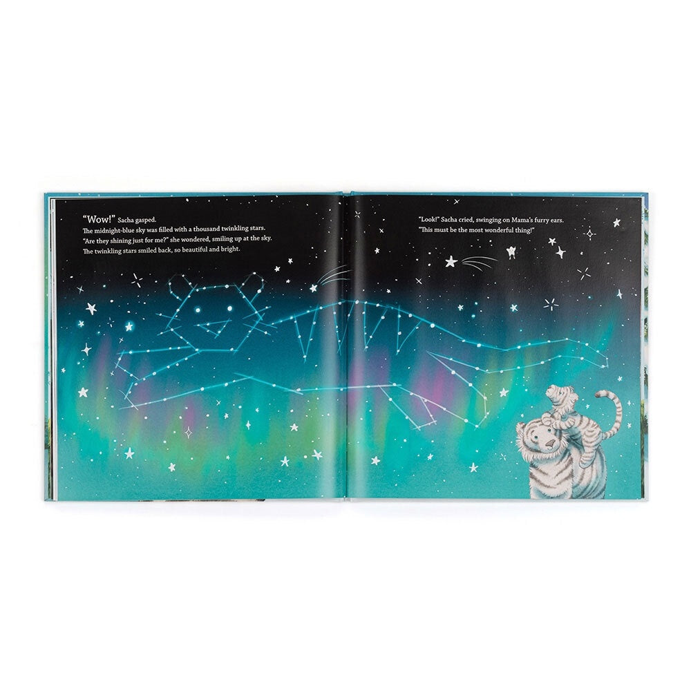 Hardcover children's book titled Sacha and the Most Wonderful Thing with colorful cover art.
