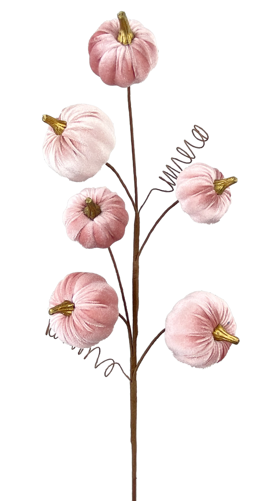 28-inch decorative spray featuring six soft pink velvet pumpkins with gold stems and wire tendrils.