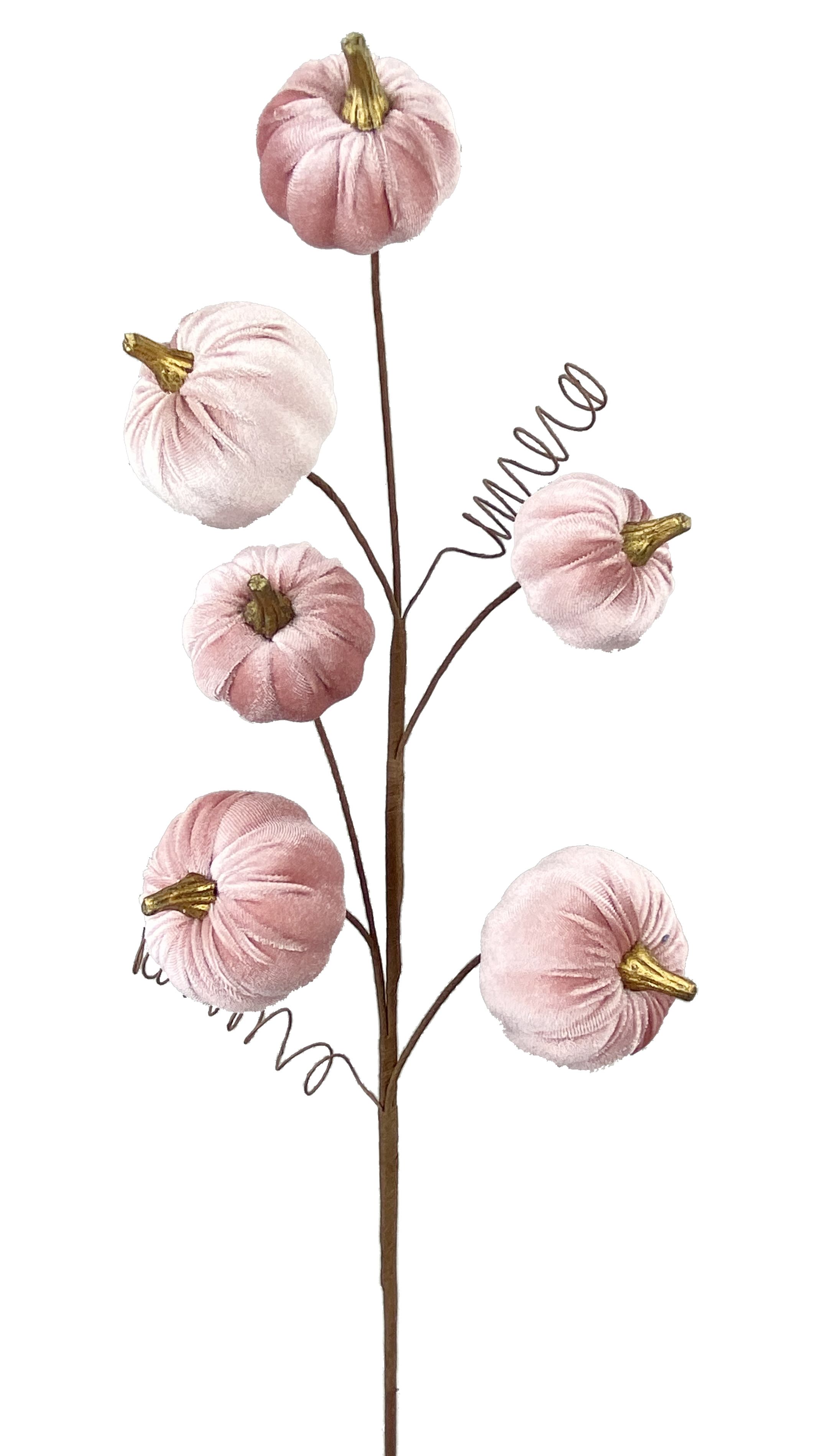 28-inch decorative spray featuring six soft pink velvet pumpkins with gold stems and wire tendrils.